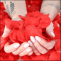LebombaGifts® Rose Petals